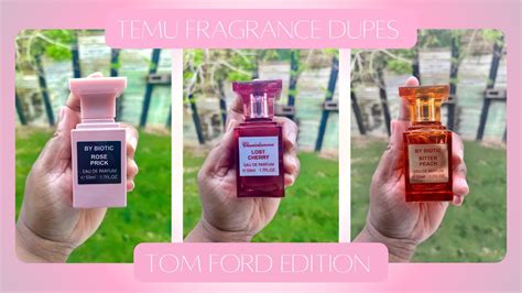 temu perfume dupes list|how to dupe temu.